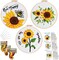3-Pack Sunflower Embroidery Kit for Beginners – Cross Stitch Set with Bee & Summer Flower Patterns, Hoops, Needles & Instructions for Adults DIY Needlepoint